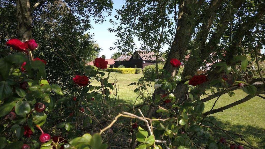 Paddock Barn ~ Short & Long Term Stay, Pets Welcome ~ Woodbridge, Framlingham Ar Cretingham Экстерьер фото